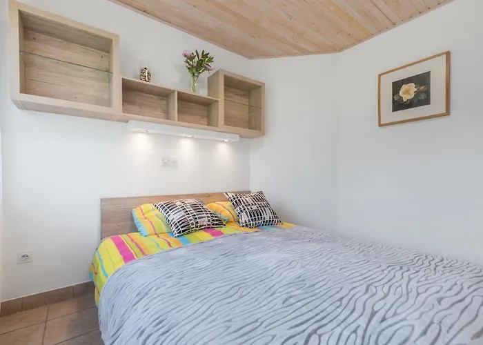 - Speleo Camp Logatec